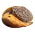 Ốc giác